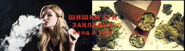ГАЛЛЮЦИНОГЕННЫЕ ГРИБЫ Бородино