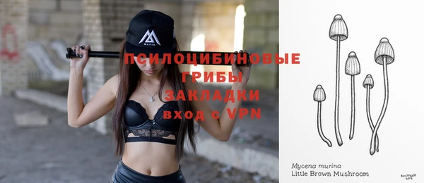 мдпв Бронницы