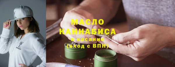 гашик Сатка