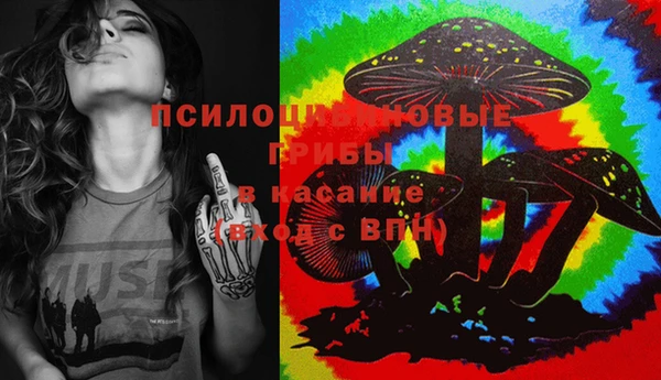 ГАЛЛЮЦИНОГЕННЫЕ ГРИБЫ Бородино
