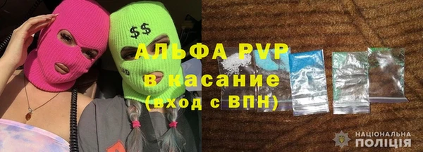 ГАЛЛЮЦИНОГЕННЫЕ ГРИБЫ Бородино