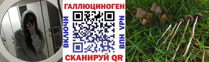 ОМГ ОМГ ссылка  что такое наркотик  Ковдор  Псилоцибиновые грибы мухоморы 